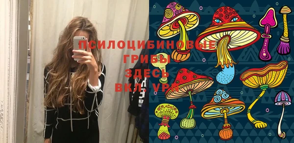 MESCALINE Бородино