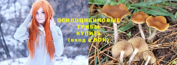 прущий лед Бугульма