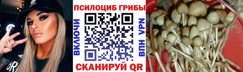 Купить закладки  Дегтярск  Галлюциногенные грибы Psilocybine cubensis 
